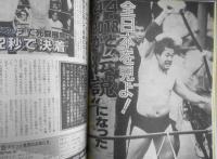 週刊プロレス　平成3年5月7日No.433　三冠戦/鶴田VS三沢　ベースボール・マガジン社　g
