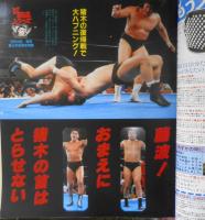 週刊プロレス　昭和62年11月3日No.229　G・馬場の“ドッキリ語録” ベースボール・マガジン h
