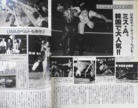 週刊プロレス　平成元年9月19日No.338　全日9・2武道館・天龍VSゴーディ ベースボール・マガジン h
