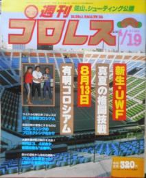 週刊プロレス　昭和63年4月19日No.252　4・2両国「格闘技の祭典」　ベースボール・マガジン社　q
