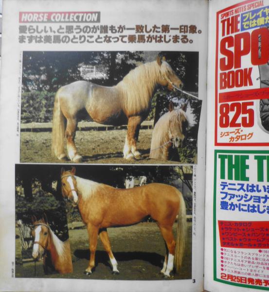 スポーツノート38 乗馬 昭和56年発行 鎌倉書房 b / 古本、中古本、古
