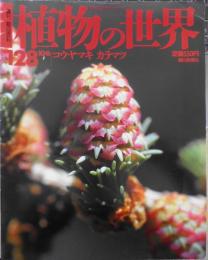 植物の世界　週刊朝日百科　コウヤマキ/カラマツ　平成8年10/6️第128号　q
