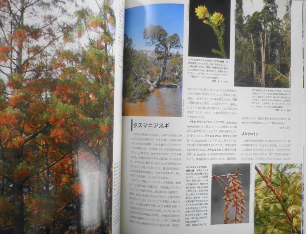 古本）週刊朝日百科 植物の世界 全144冊組 朝日新聞社 Z03524