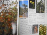 植物の世界　週刊朝日百科　ビャクシン/スギ/セコイア　平成8年9/29第127号　q
