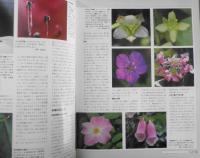 植物の世界　週刊朝日百科　植物の形態1/花と果実　平成9年1/19第142号　q
