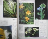 植物の世界　週刊朝日百科　植物の形態1/花と果実　平成9年1/19第142号　q
