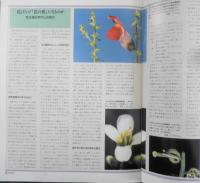 植物の世界　週刊朝日百科　植物の形態1/花と果実　平成9年1/19第142号　q
