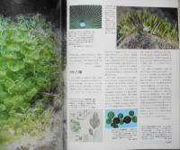 植物の世界　週刊朝日百科　藻類1/緑藻類　平成8年12/22第139号　w

