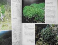 植物の世界　週刊朝日百科　藻類1/緑藻類　平成8年12/22第139号　w
