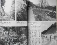 ニューサイクリング　昭和52年3月号No.148　スポーツ車部品論議・杉野鉄工所　ベロ出版社　b
