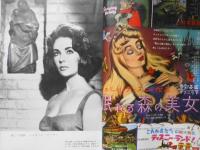 映画ストーリー　昭和35年7月号　太陽がいっぱい/アラン・ドロン主演　雄鶏社　h
