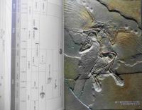 世界最大の恐竜展　フンボルト大学創立175周年記念　昭和59年開催　w
