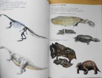 世界最大の恐竜展　フンボルト大学創立175周年記念　昭和59年開催　w
