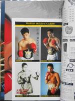 ワールド・ボクシング　1996年7月号　チャベス血だるま落城…　日本スポーツ出版社　v
