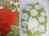 洋書　The Rose Myth folklore and legend　1979年　h
