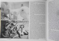 洋書映画雑誌　シネフェックス/cinefex　1985年24号　u
