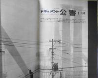 毎日グラフ　昭和45年2月8日号　ドキュメント「公害」　6
