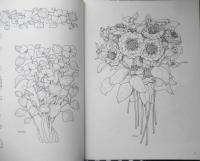 洋書　Treasury of Flower Designs for Artists　1981年　w
