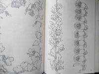 洋書　Treasury of Flower Designs for Artists　1981年　w
