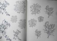 洋書　FLORAL SPOT ILLUSTRATIONS　1989年　w
