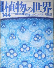 植物の世界　週刊朝日百科　植物の形態3/植物のからだづくり　平成9年2/2・9第144号　e

