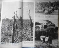 洋書雑誌　LIFE　1954年8月
