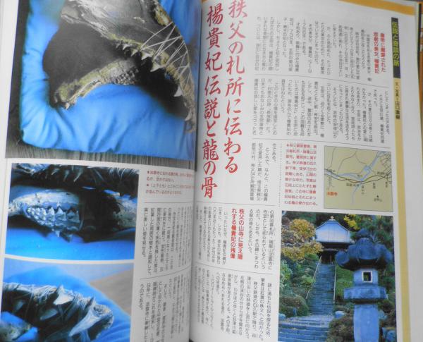月刊ムー 1996年2月号No.183 総力特集/“人類不滅”の大予言・龍宮神示と