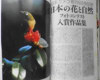 日本カメラ　昭和60年4月号　特集/一眼レフのピント合わせとボケ効果　x
