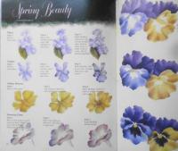 洋書　トールペイント　Quaint Cottages And country Gardens　a
