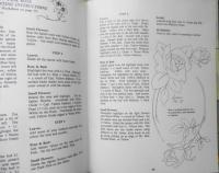 洋書　トールペイント　Flower studies and techniques Vol.2　a
