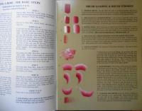 洋書　トールペイント　Painting Roses　d

