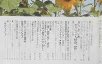 私の部屋　昭和55年夏休み号No.50　私の部屋・緑陰講座　婦人生活社　h
