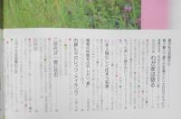 私の部屋　昭和57年夏の号No.61　巻頭特集/わが家は語る　婦人生活社　u
