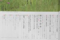 私の部屋　昭和57年夏の号No.61　巻頭特集/わが家は語る　婦人生活社　u
