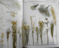 洋書　Complete Book of Dried Flowers　3
