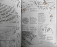 洋書　Complete Book of Dried Flowers　3
