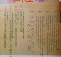 私のカントリー別冊 はじめての簡単木工　2004年17刷　主婦と生活社　h
