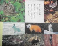フォト絵本37　にほんのどうぶつ 日本の野生動物　小学館　x
