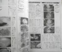 別冊専門料理・日本料理技術百科 第4巻　鍋もの　平成7年初版　柴田書店　d

