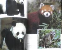 上野動物園グラフ　昭和60年10刷　東京動物園協会　i

