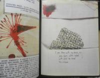 洋書　The Journey is the Destination　The Journals of Dan Eldon　ダン・エルドン　i

