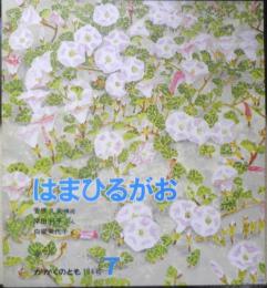 はまひるがお　かがくのとも184号　1984年初版　福音館書店　c
