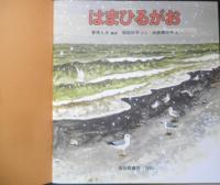 はまひるがお　かがくのとも184号　1984年初版　福音館書店　c
