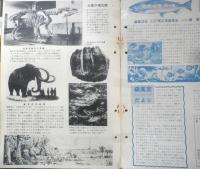 科学大観　昭和33年第3号　地球特集　世界文化社　e
