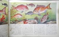 科学クラブ　昭和31年第5号　特集/魚のくらし・春は池のほとりから　l
