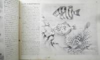 科学クラブ　昭和31年第5号　特集/魚のくらし・春は池のほとりから　l
