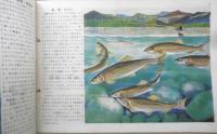 科学クラブ　昭和31年第5号　特集/魚のくらし・春は池のほとりから　l
