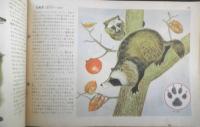 科学クラブ　昭和30年第3号　特集/動物の生活　t
