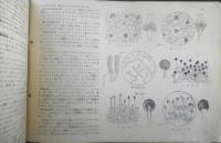 科学クラブ　昭和30年創刊号　特集/虫の生活　t
