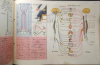 科学クラブ　昭和31年第9号　特集/人のからだ・世界の国々（インド）　e
